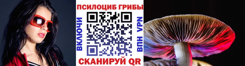 ссылка на мегу рабочий сайт  Багратионовск  Псилоцибиновые грибы Psilocybine cubensis 